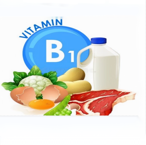 A Função Fisiológica da Vitamina B1